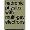 Hadronic Physics With Multi-Gev Electrons door Onbekend