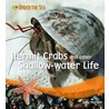 Hermit Crabs And Other Shallow Water Life door Sally Morgan