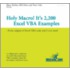 Holy Macro! It's 2,200 Excel Vba Examples