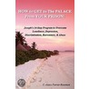 How to Get to the Palace from Your Prison door C. Joyce Farrar-Rosemon