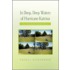 In Deep, Deep Waters Of Hurricane Katrina