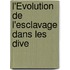 L'Évolution De L'Esclavage Dans Les Dive
