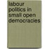 Labour Politics In Small Open Democracies