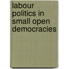 Labour Politics In Small Open Democracies door Paul G. Buchanan
