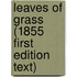 Leaves Of Grass (1855 First Edition Text)