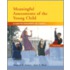Meaningful Assessments Of The Young Child