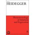Phenomenology Of Intuition And Expression