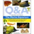 Questions And Answers The Marine Aquarium