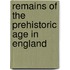 Remains of the Prehistoric Age in England