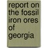 Report On The Fossil Iron Ores Of Georgia