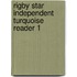 Rigby Star Independent Turquoise Reader 1