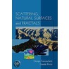 Scattering, Natural Surfaces and Fractals door Giorgio Franceschetti