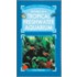 Setting Up A Tropical Freshwater Aquarium
