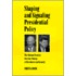 Shaping and Signaling Presidential Policy