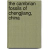 The Cambrian Fossils Of Chengjiang, China by Xian-Guang Hou