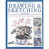 The Complete Drawing And Sketching Course by Stan Smith