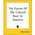 The Future Of The Colored Race In America