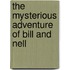 The Mysterious Adventure of Bill and Nell