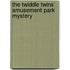 The Twiddle Twins' Amusement Park Mystery