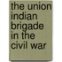 The Union Indian Brigade In The Civil War