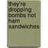 They're Dropping Bombs Not Ham Sandwiches