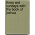 Three Wet Sundays with the Book of Joshua
