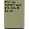 Three Wet Sundays with the Book of Joshua door Ellen Palmer