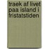 Traek Af Livet Paa Island I Fristatstiden