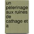 Un Pèlerinage Aux Ruines De Cathage Et A