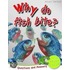 1st Questions And Answers Deadly Creatures