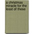 A Christmas Miracle For The Least Of These