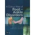 A Colour Atlas Of Foot And Ankle Disorders