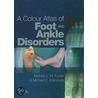 A Colour Atlas Of Foot And Ankle Disorders door Michael E. Edmonds