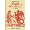 A History Of Magic And Witchcraft In Wales door Richard Suggett