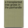 A Transplanted Tree Grows In The Panhandle door Calvin B. Koesy