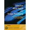 Adaptive Blind Signal and Image Processing door Andrzej Cichocki