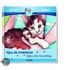 Bijou, die Findelkatze/Bijou the Foundling