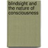 Blindsight And The Nature Of Consciousness