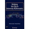 Bridging the Gap to University Mathematics by martin gould