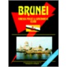 Brunei Foreign Policy and Government Guide door Onbekend