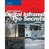 David Busch's Digital Infrared Pro Secrets door David D. Busch