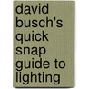 David Busch's Quick Snap Guide to Lighting door David Busch