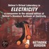 Delmar's Virtual Laboratory in Electricity