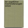 Der Angelführer Meerforellenangeln Ostsee door Udo Schroeter