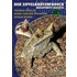 Der Zipfelkrötenfrosch - Megophrys Nasuta