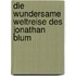 Die wundersame Weltreise des Jonathan Blum