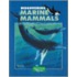 Discovering Marine Mammals [With Stickers]