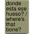 Donde Esta Ese Hueso? / Where's That Bone?