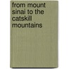 From Mount Sinai To The Catskill Mountains by Joel T. Klein PhD