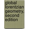 Global Lorentzian Geometry, Second Edition door Paul E. Ehrlich